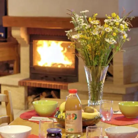 Spacieux Avec Cheminee, Proche Foret, Vtt Et Randonnees, Ideal Pour Familles Et Detente - Fr-1-496-36 Holiday home Saint-Romain-d'Urfe